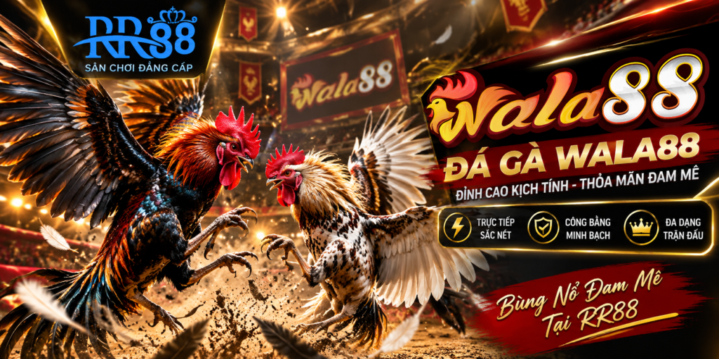 Đá Gà Wala88 – Không khí thi đấu trực tuyến hấp dẫn