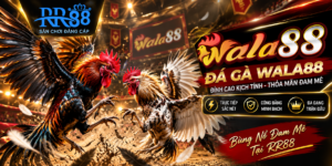 Đá Gà Wala88 – Không khí thi đấu trực tuyến hấp dẫn